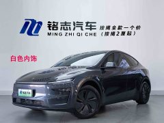 Tesla Model Y Rear-Wheel Drive - ფოტო 1
