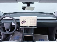 Tesla Model Y Rear-Wheel Drive - ფოტო 12