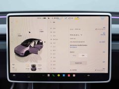 Tesla Model Y Rear-Wheel Drive - ფოტო 14