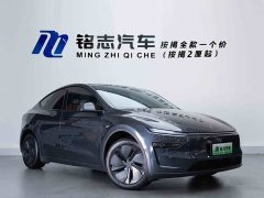 Tesla Model Y Rear-Wheel Drive - ფოტო 4