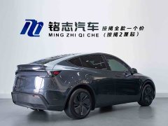 Tesla Model Y Rear-Wheel Drive - ფოტო 6