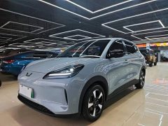 Wuling Binguo PLUS 330km 5-Seater - ფოტო 1
