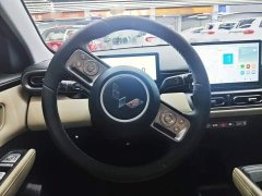 Wuling Binguo PLUS 330km 5-Seater - ფოტო 16