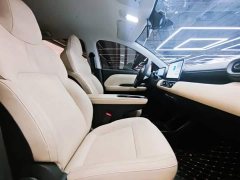 Wuling Binguo PLUS 330km 5-Seater - ფოტო 8