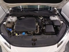 Changan Eado 1.5T GDI Automatic Prestige - ფოტო 19