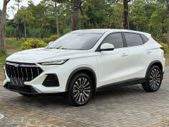 Changan Oushan X5 1.5T DCT Luxury - ფოტო 1