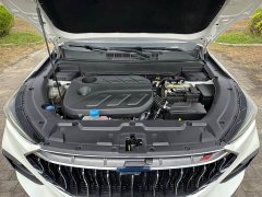 Changan Oushan X5 1.5T DCT Luxury - ფოტო 19