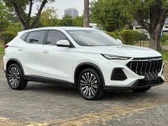 Changan Oushan X5 1.5T DCT Luxury - ფოტო 3