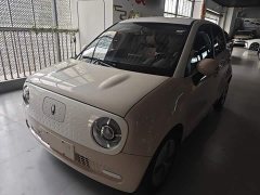 Ora 301km Version - ფოტო 1