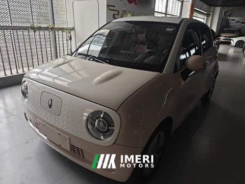 2022 Ora 301km Version - ავტომობილი ჩინეთიდან