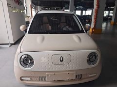 Ora 301km Version - ფოტო 2
