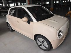 Ora 301km Version - ფოტო 3