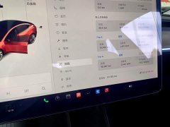 Tesla Model 3 Standard Range RWD Upgrade 3D6 - ფოტო 11