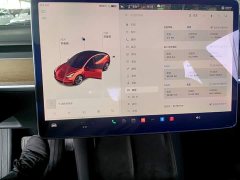 Tesla Model 3 Standard Range RWD Upgrade 3D6 - ფოტო 12