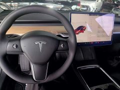 Tesla Model 3 Standard Range RWD Upgrade 3D6 - ფოტო 9