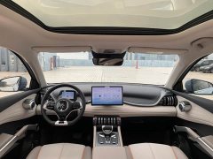 BYD Yuan Plus Glory Edition 510KM Transcend - ფოტო 9