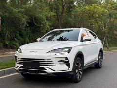 BYD Song Plus New Energy DM-i 112KM Prestige - ფოტო 1
