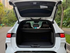 BYD Song Plus New Energy DM-i 112KM Prestige - ფოტო 12