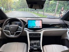 BYD Song Plus New Energy DM-i 112KM Prestige - ფოტო 20