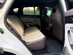 BYD Song Plus New Energy DM-i 112KM Prestige - ფოტო 7