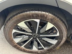 BYD Song Plus New Energy DM-i 112KM Prestige - ფოტო 8