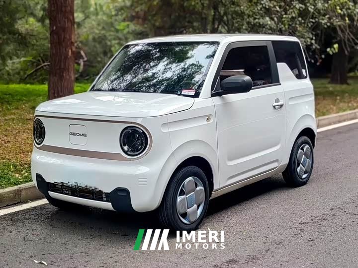 Geely Panda Mini 200km Endurance Edition