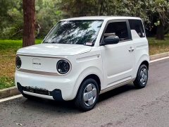 Geely Panda Mini 200km Endurance Edition - ფოტო 1