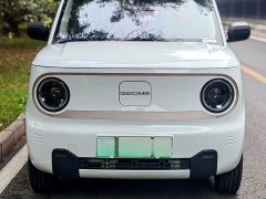 Geely Panda Mini 200km Endurance Edition - ფოტო 2