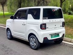 Geely Panda Mini 200km Endurance Edition - ფოტო 4