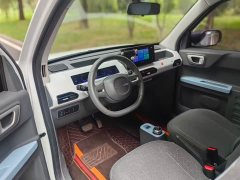 Geely Panda Mini 200km Endurance Edition - ფოტო 7