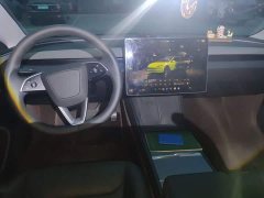 Tesla Model 3 Long Range Rear-Wheel Drive - ფოტო 10