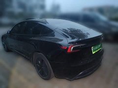 Tesla Model 3 Long Range Rear-Wheel Drive - ფოტო 4