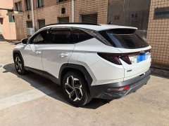 Hyundai Tucson L 1.5T Automatic Two-Wheel Drive DLX Luxury - ფოტო 6