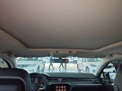 Volkswagen Magotan 2020 330TSI DSG Advance - ფოტო 17