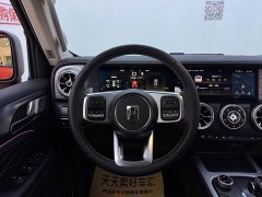 Tank 300 2022 2.0T Frontier Limited Edition - ფოტო 10