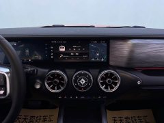 Tank 300 2022 2.0T Frontier Limited Edition - ფოტო 12