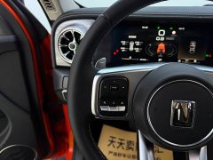 Tank 300 2022 2.0T Frontier Limited Edition - ფოტო 17