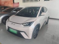 BYD Seagull Glory Edition 305km Freedom Version - ფოტო 1