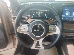 BYD Seagull Glory Edition 305km Freedom Version - ფოტო 10