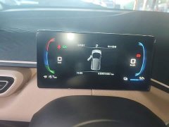 BYD Seagull Glory Edition 305km Freedom Version - ფოტო 11