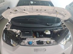 BYD Seagull Glory Edition 305km Freedom Version - ფოტო 19