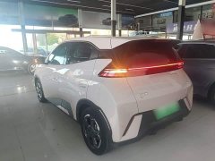 BYD Seagull Glory Edition 305km Freedom Version - ფოტო 4