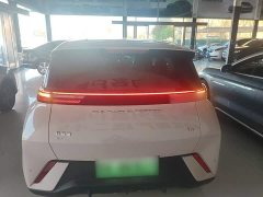 BYD Seagull Glory Edition 305km Freedom Version - ფოტო 5