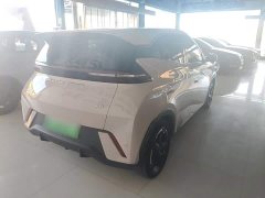 BYD Seagull Glory Edition 305km Freedom Version - ფოტო 6