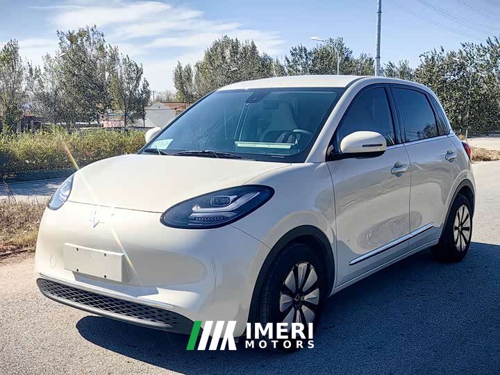 Wuling Binguo 2023 203km Comfort Edition - ავტომობილი ჩინეთიდან
