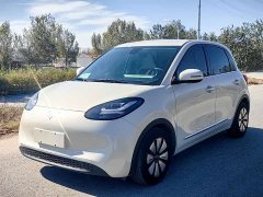 Wuling Binguo 2023 203km Comfort Edition - ფოტო 1