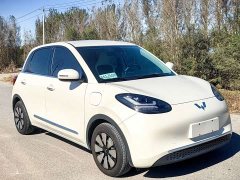 Wuling Binguo 2023 203km Comfort Edition - ფოტო 3