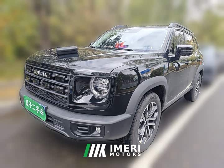 Great Wall Dachshund 2024 1.5T DCT Border Collie Edition - ავტომობილი ჩინეთიდან