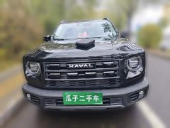 Great Wall Dachshund 2024 1.5T DCT Border Collie Edition - ფოტო 2