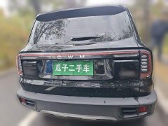 Great Wall Dachshund 2024 1.5T DCT Border Collie Edition - ფოტო 5
